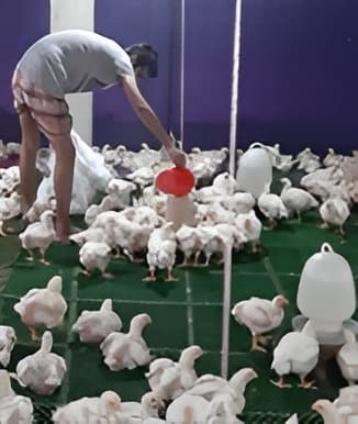 Livelihood improvement support to the youths from vulnerable communities