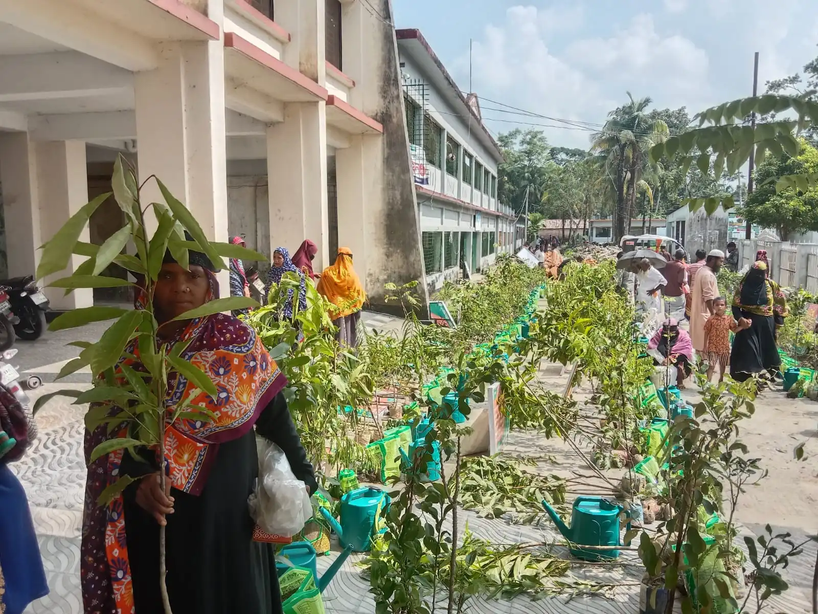 Plantation and maintenance under “Forestry Sector Project (FSP)” of the Bangladesh Forest Department