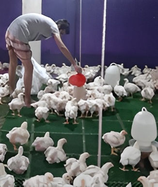 Livelihood improvement support to the youths from vulnerable communities